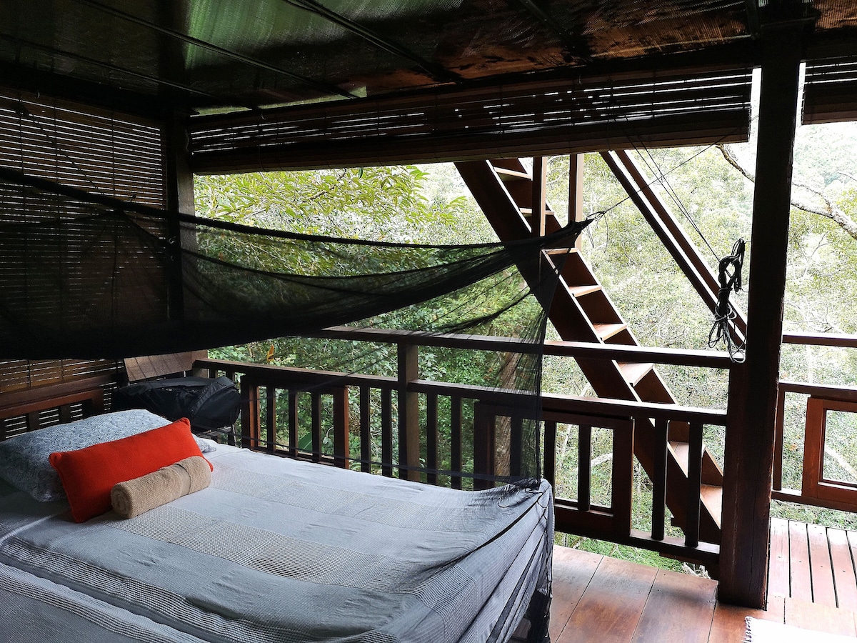 Treehouse - beds with mosquito nets, lower deck