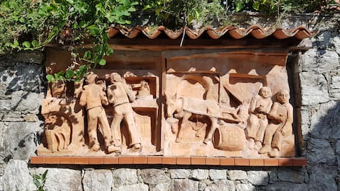 Vita al Frantoio. Friends, bikes and ropes