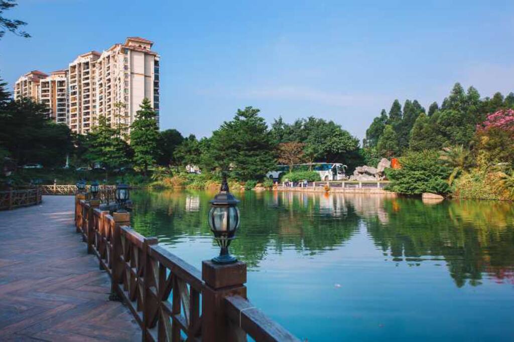 小区里的锦鲤湖