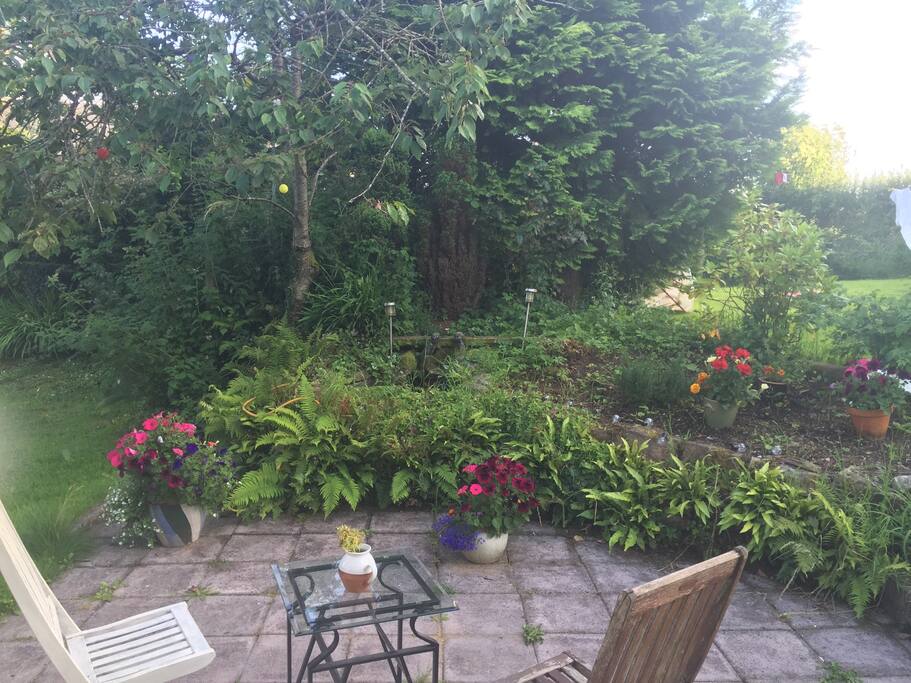 Patio Garden