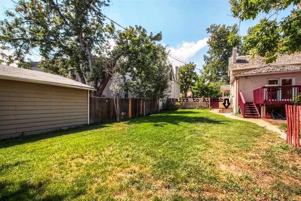 Fenced yard for dog to play in