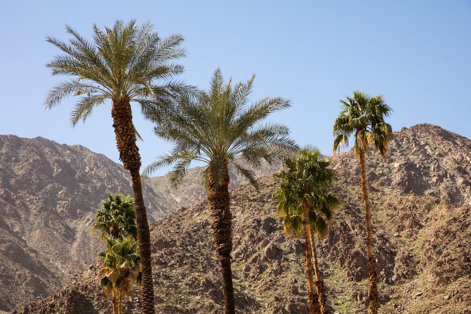 Casa La Quinta, under the Santa Rosa Mountains, La Quinta, California, United States, photo 10 of 10