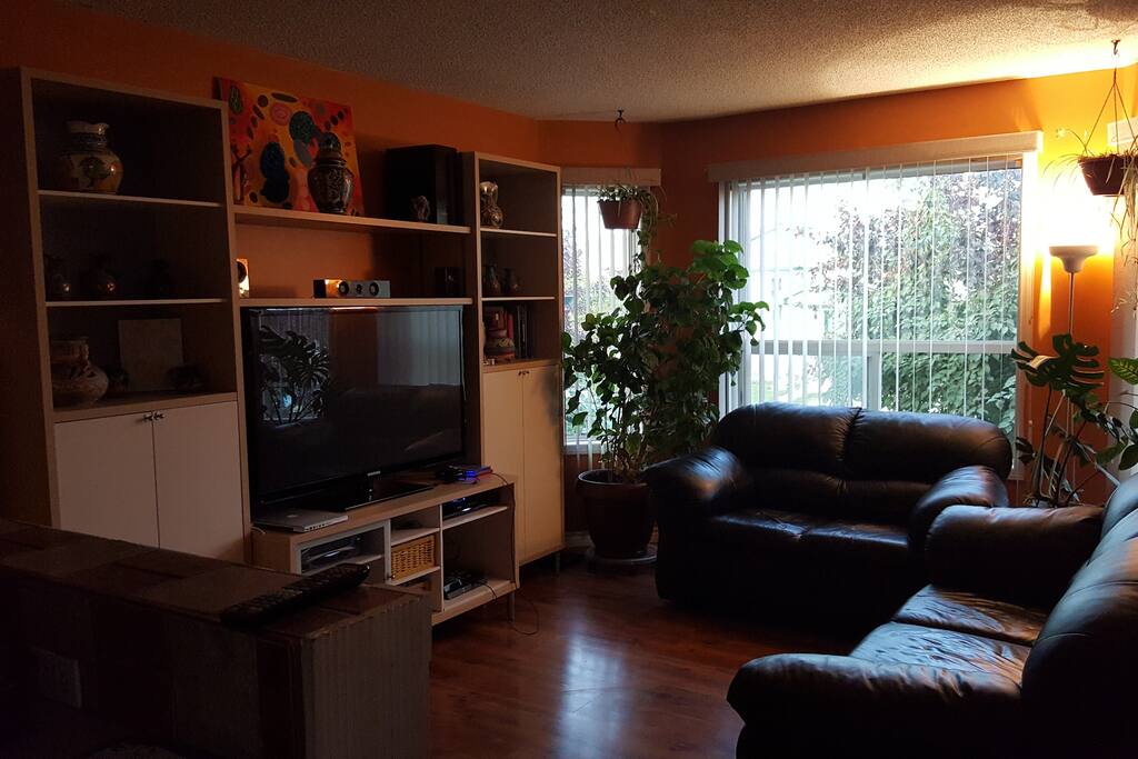Living area
Sala principal