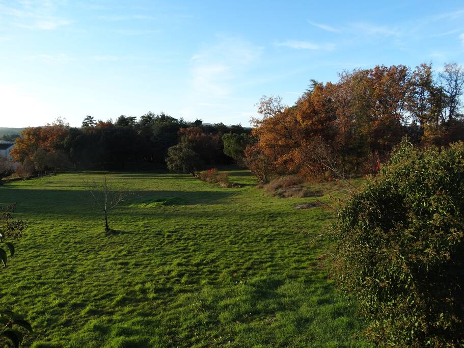 le parc
