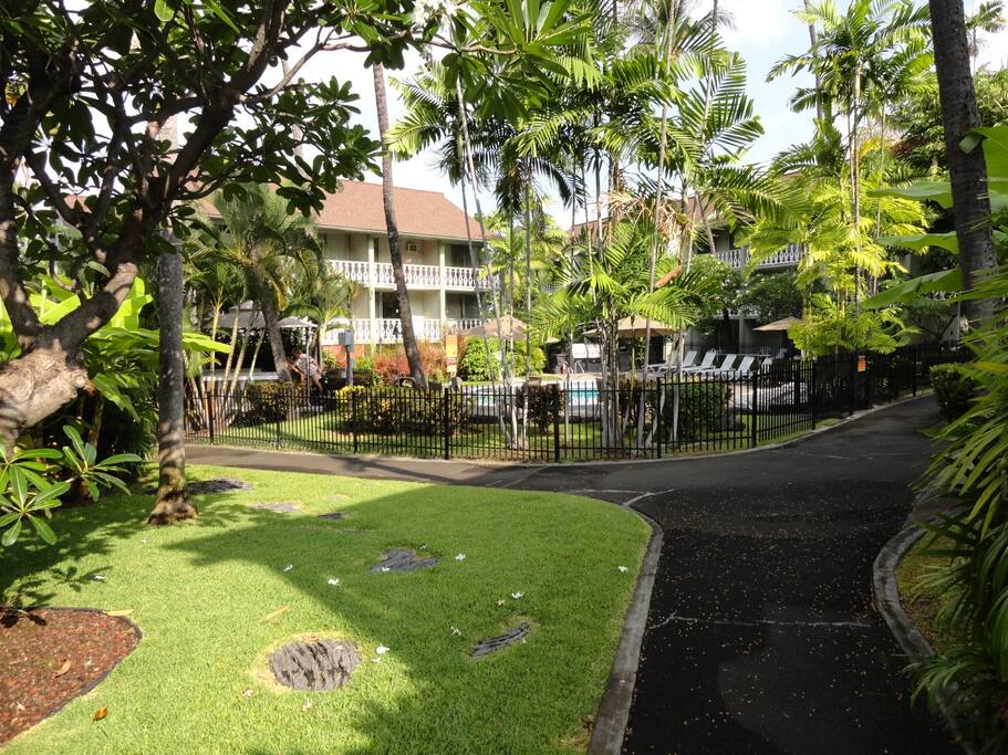 cozy, tropical pool setting