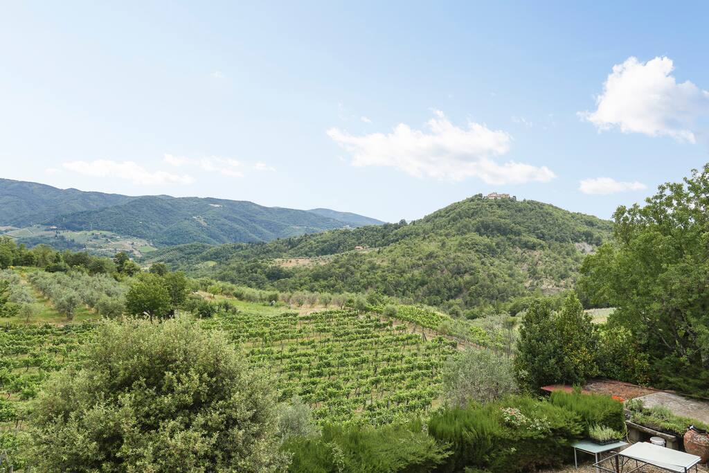 Chianti landscape from living room.