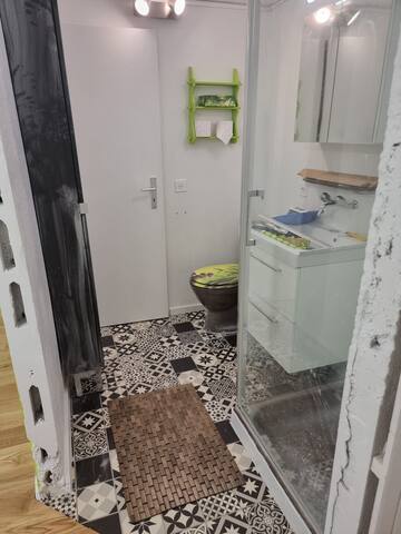 Villa 5 chambres, magnifique vue sur le lac leman gallery image 5