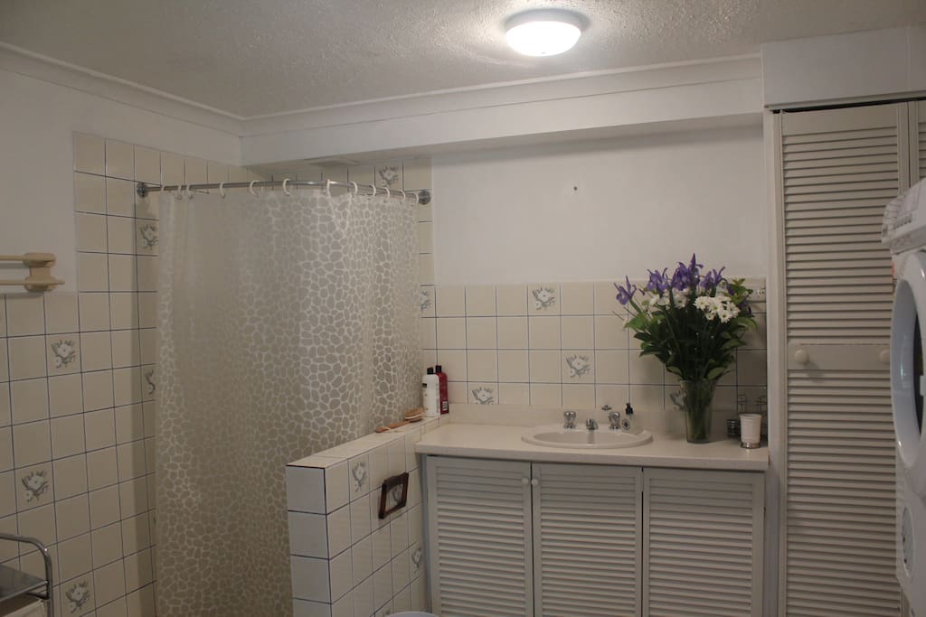 Shower, Toilet and Laundry