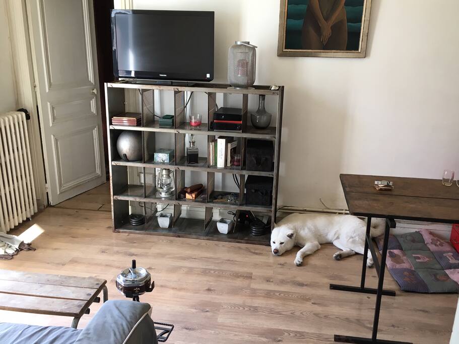 Living room, but this lovely dog won't stay with you :)