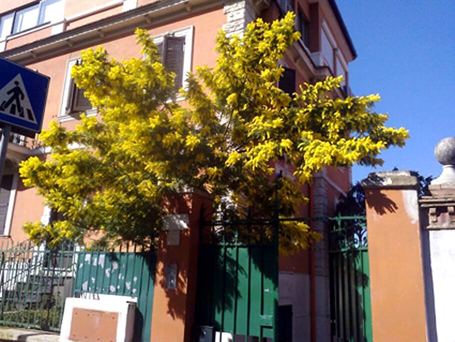ingresso da strada