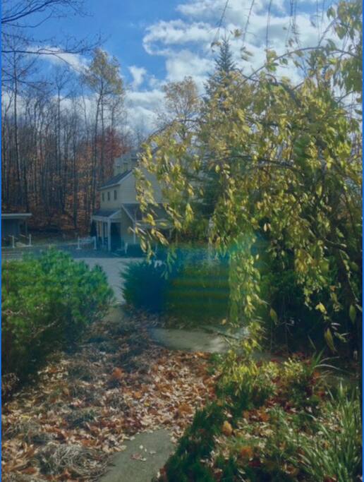 Our beautiful, relaxing wooded grounds