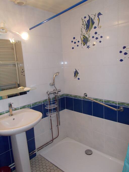 salle de bain douche