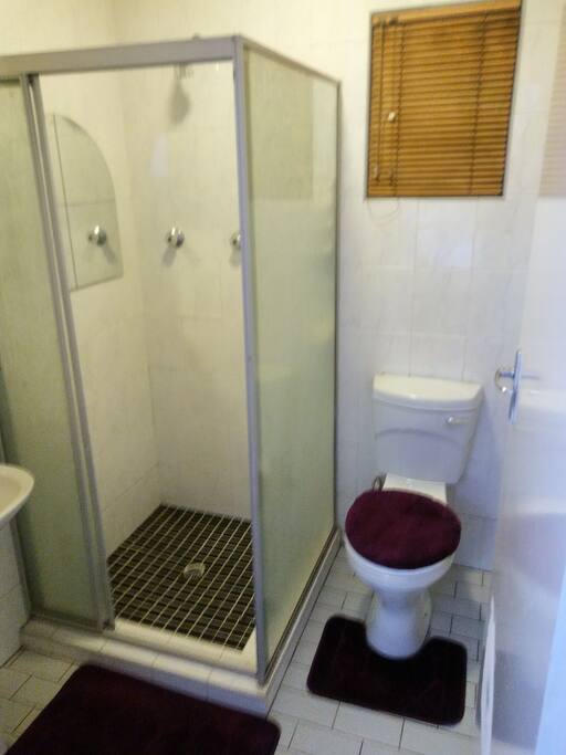 shower and toilet