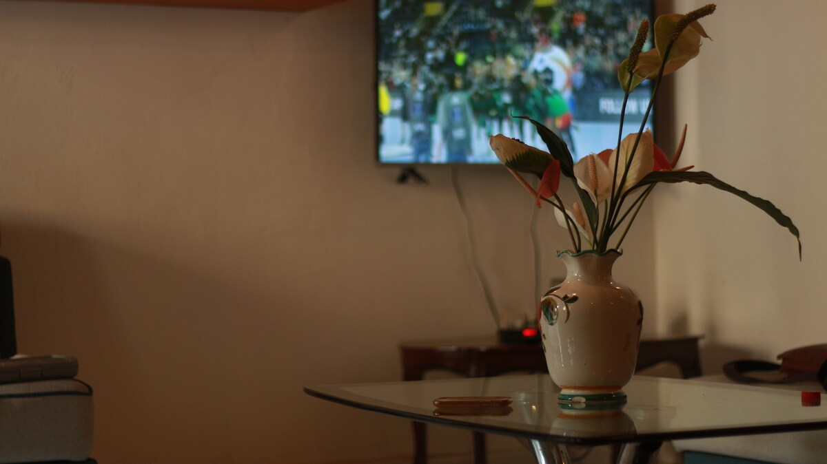 A modern living area is depicted with a coffee table featuring a decorative vase filled with green leaves. A television is mounted on the wall, displaying a sports event in the background. Soft lighting creates a cozy ambiance, while a comfortable seating arrangement is visible.