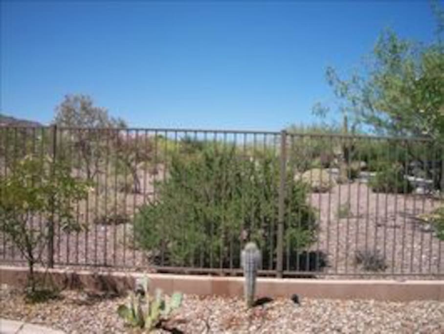 Backyard view