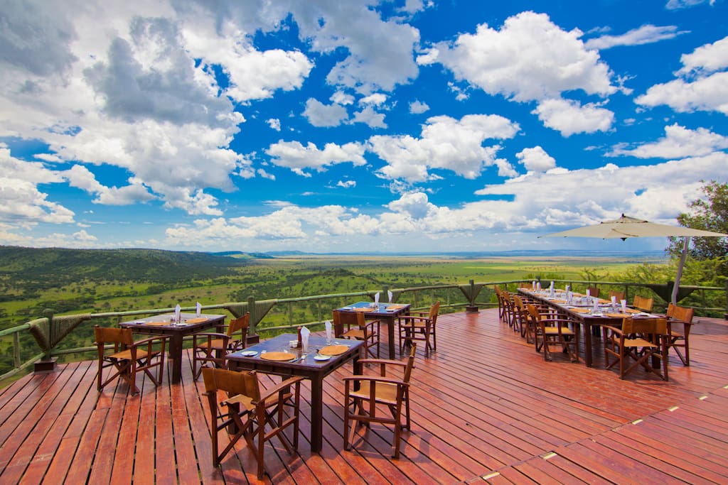 Spot the wildlife from your table