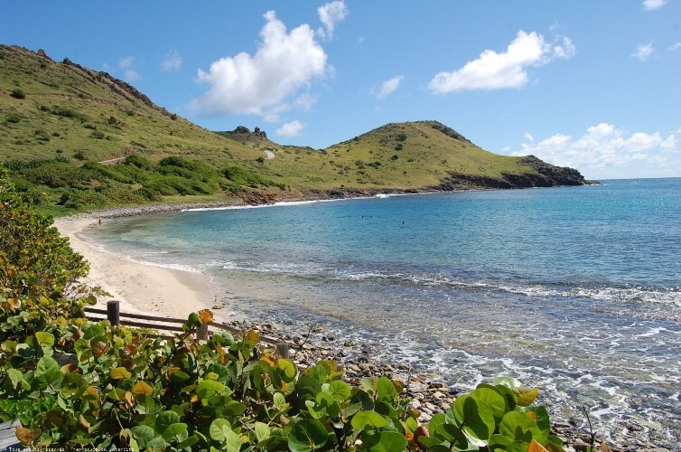 A serene beach landscape is depicted, featuring soft sand that meets clear turquoise waters. Lush greenery surrounds the shoreline, with rolling hills visible in the background. Fluffy white clouds drift in a clear blue sky, enhancing the natural beauty of the scene.