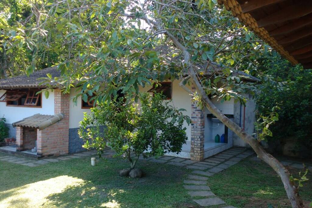 Árvores frutíferas em vota da casa