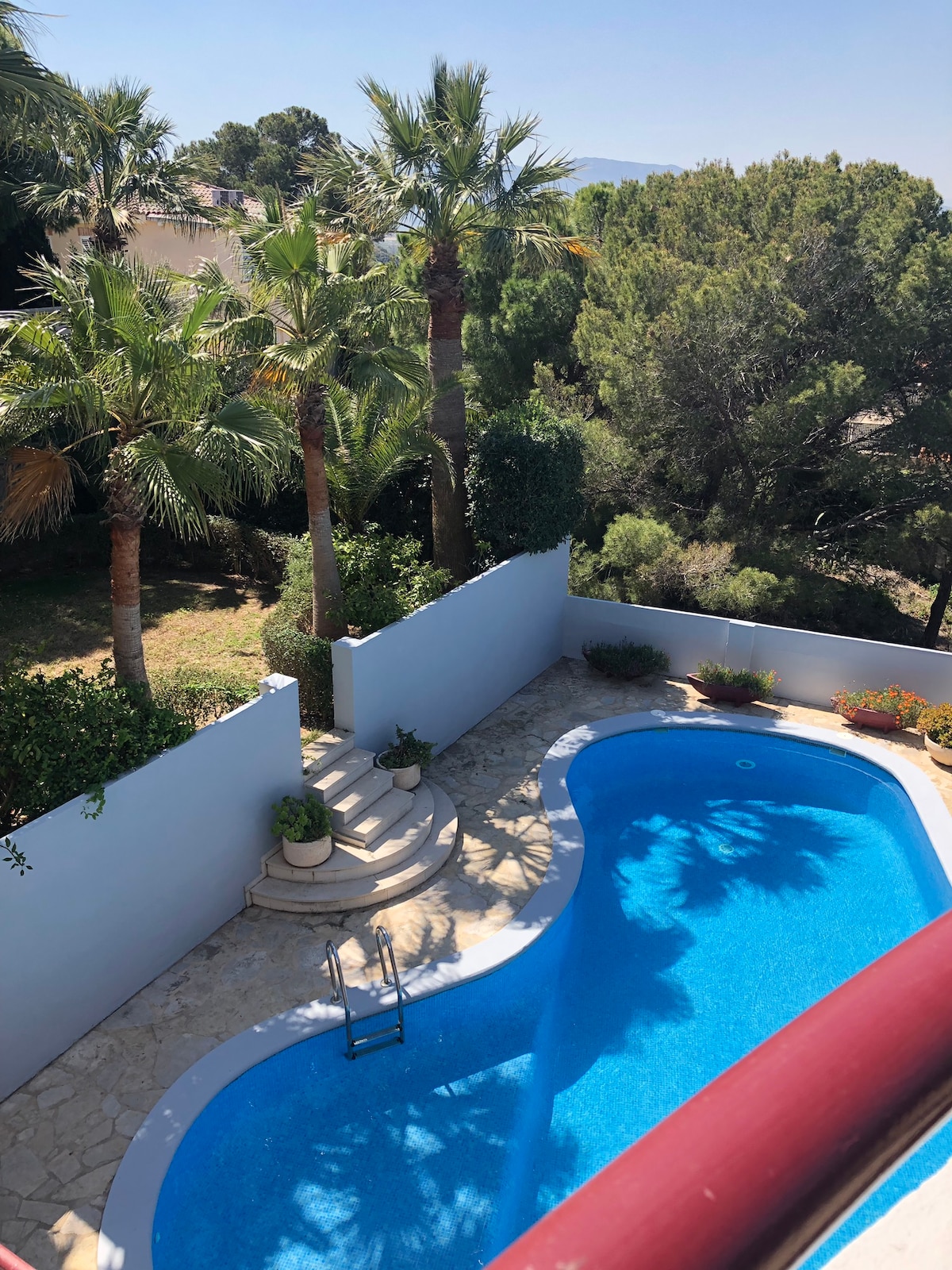 A serene outdoor area features a curved swimming pool surrounded by lush greenery and palm trees. A set of steps leads down to the pool's edge, with potted plants adding a natural touch to the space, all enclosed by a low wall.
