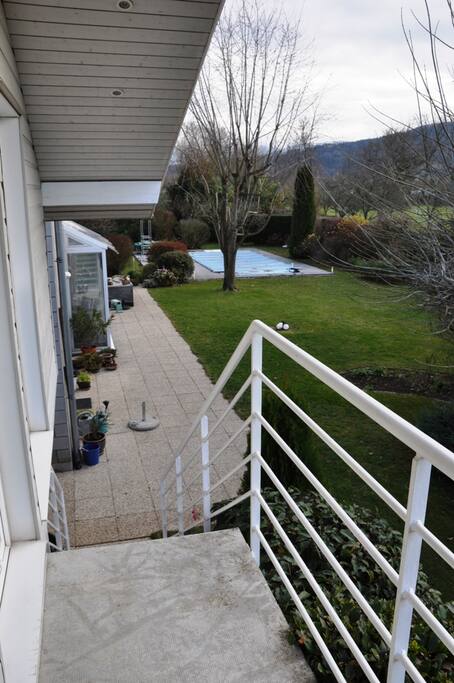 Garden and pool
