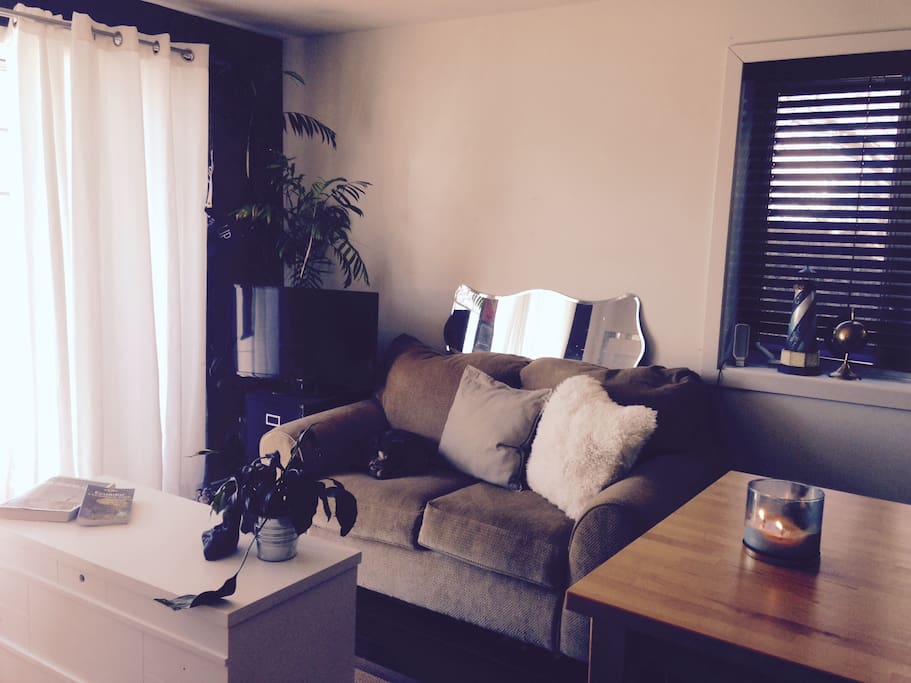 Cozy, cute and warm condo living space.