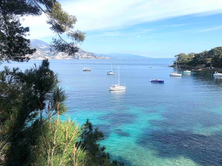 Saint-Jean-Cap-Ferrat Vacation Rentals & Homes - Provence-Alpes-Côte  d'Azur, France | Airbnb