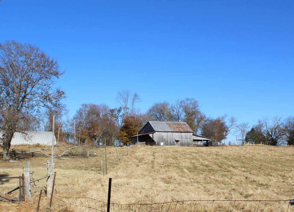 Barn and fields