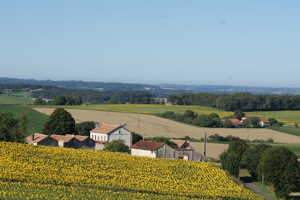 vallei