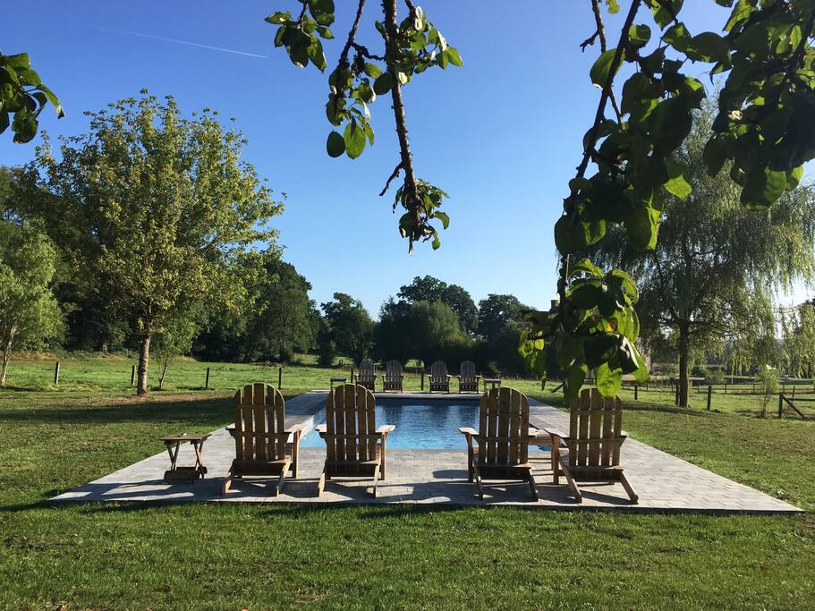 La piscine plein sud
