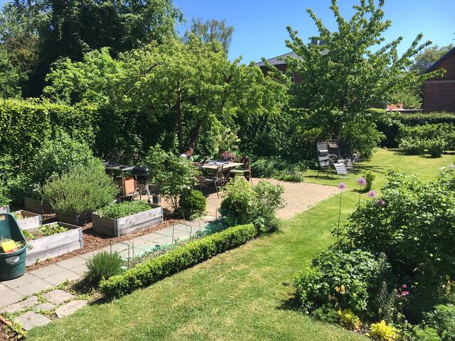 Large house with garden in central Copenhagen gallery image 4