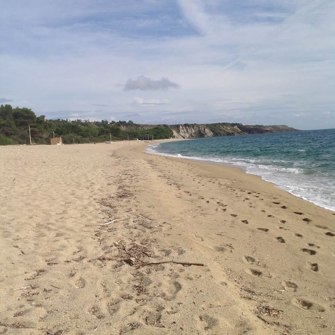 sandy beach
