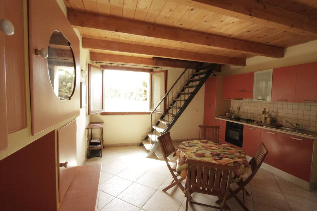 Living and kitchen