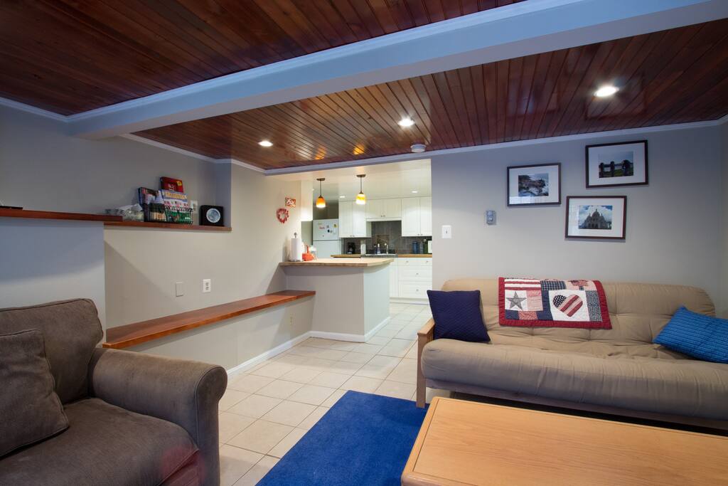 20 Unique Washington Dc Basement Apartments For Rent basement tips