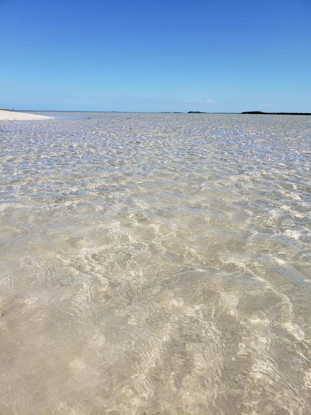 North Andros Vacation Rentals & Homes - The Bahamas | Airbnb