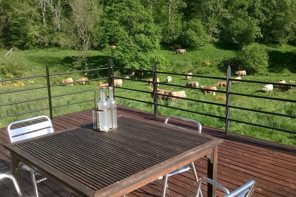 les vaches ne seront pas présentes pendant votre séjour.