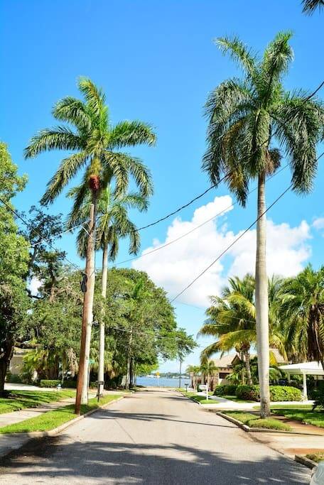 View Front Yard