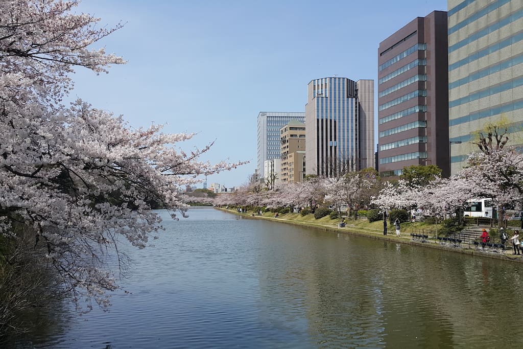 Another photo I took at Ohori Park, at the back of my apartment.