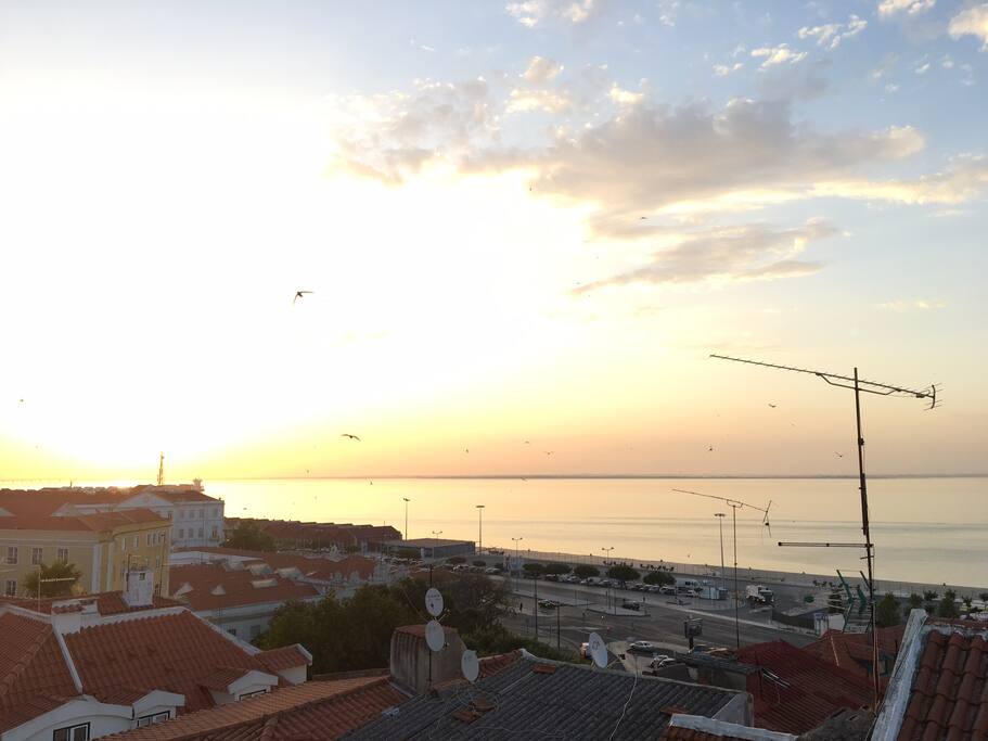 View