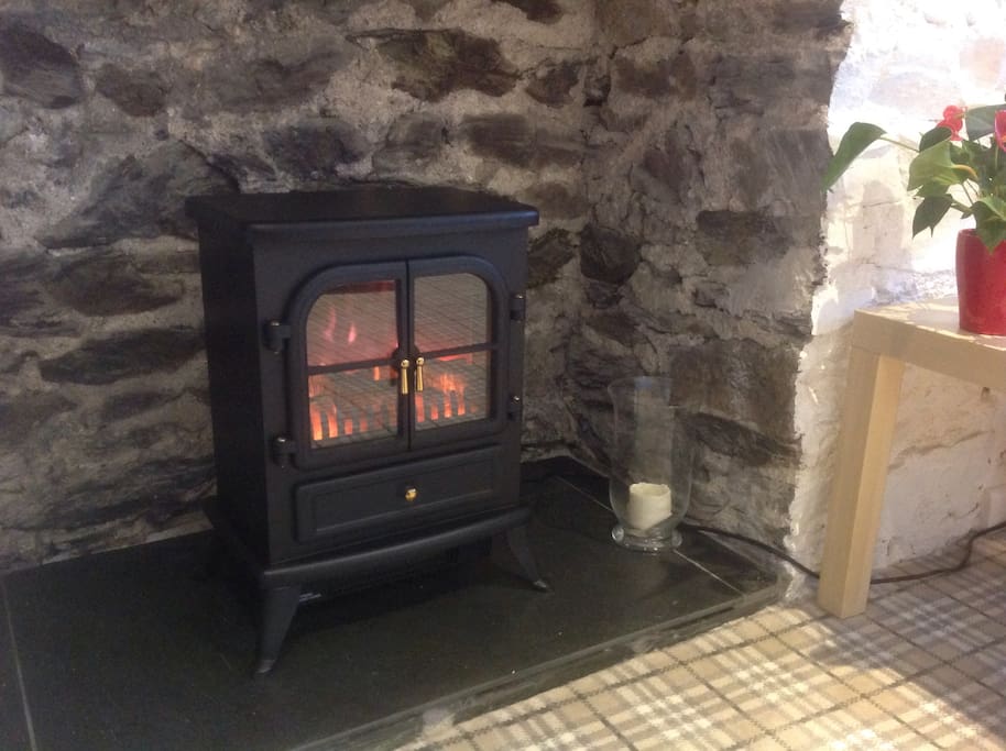warming realistic flame electric stove fire.