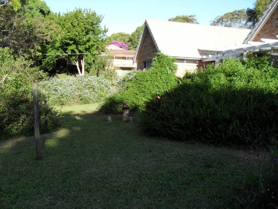 park side of backyard