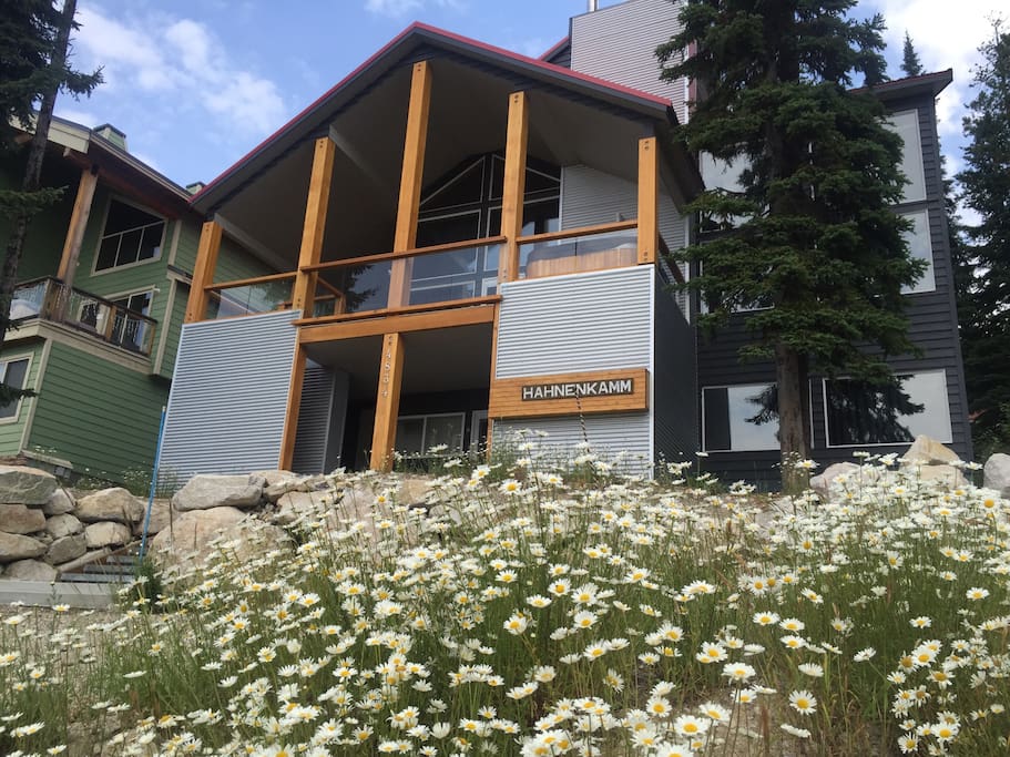 Chalet in July