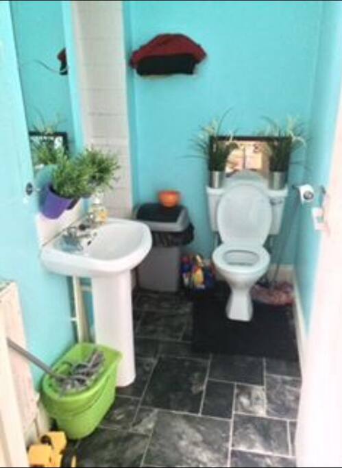 Shower room and toilet
