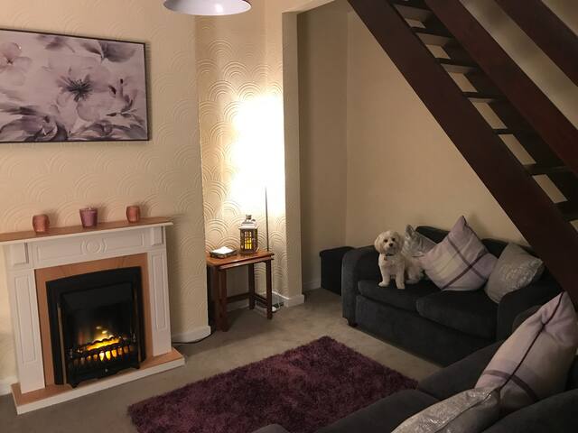 Homely Terraced House