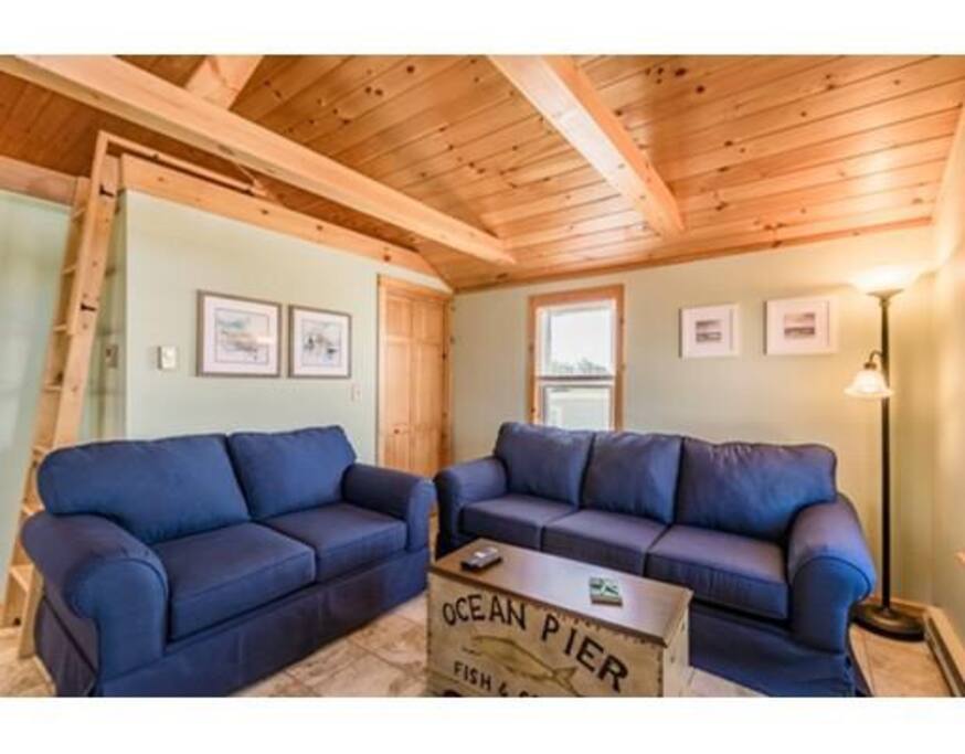 Living room with a queen size pull-out sofa.
