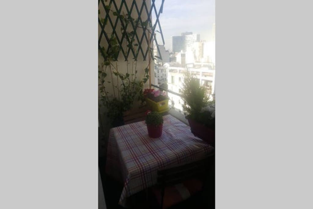 Terrasse depuis le salon.