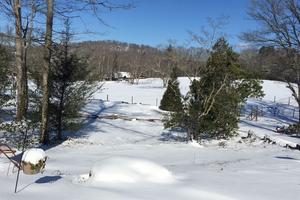 Snowy day view from our front window.