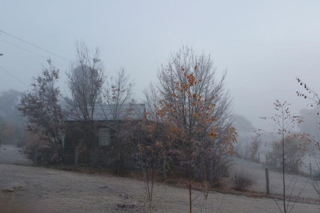 Cold Morning. Frosts and fog in Winter
