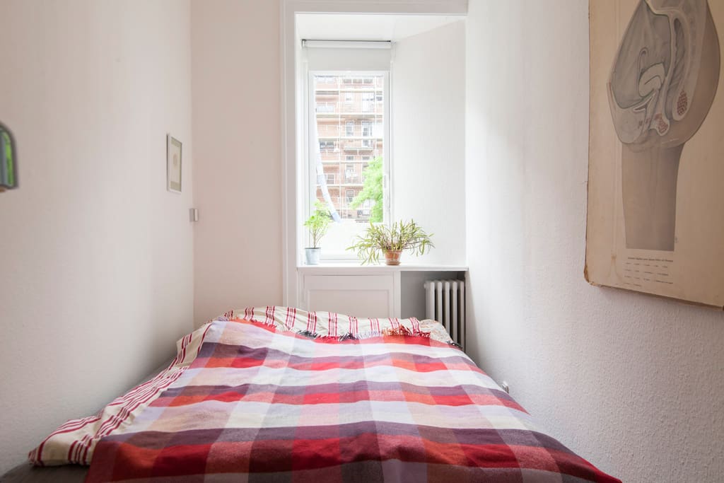 Small cozy room, nice bed.
