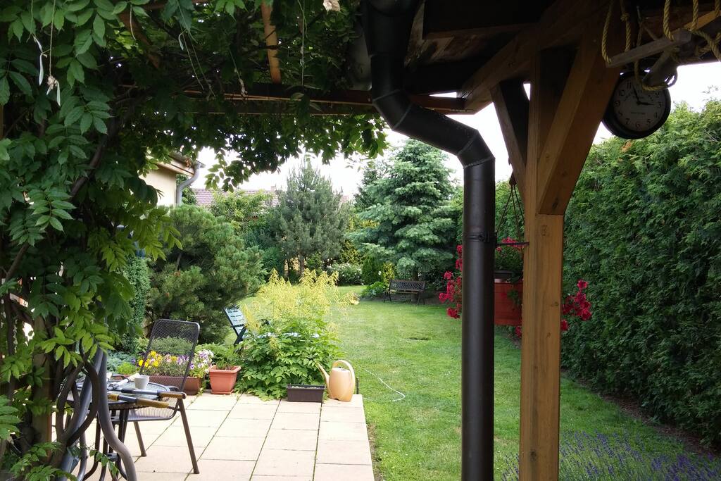 porch in the back yard