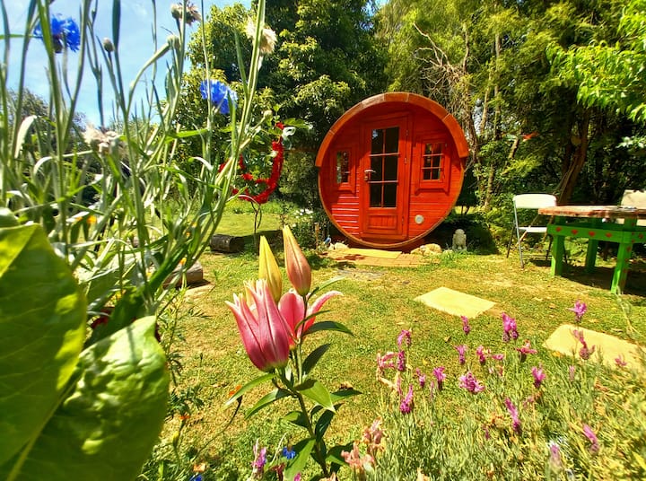 10 Best Airbnb Vacation Rentals In Pepin Island, New Zealand Trip101